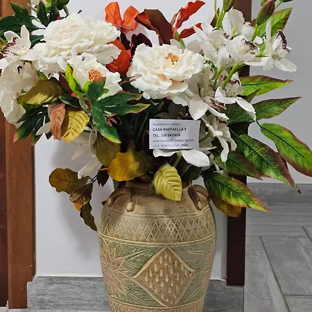 Appartamento Casa Raffaella 8 *